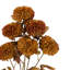 Faux Stem Dahlia Orange 730mm (6pk)-1744579924