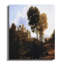 Wrapped Canvas Print Set-980466641