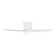 Aisling Ceiling Fan with LED Lights