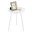 Floodwood Tray Top End Table-535695103