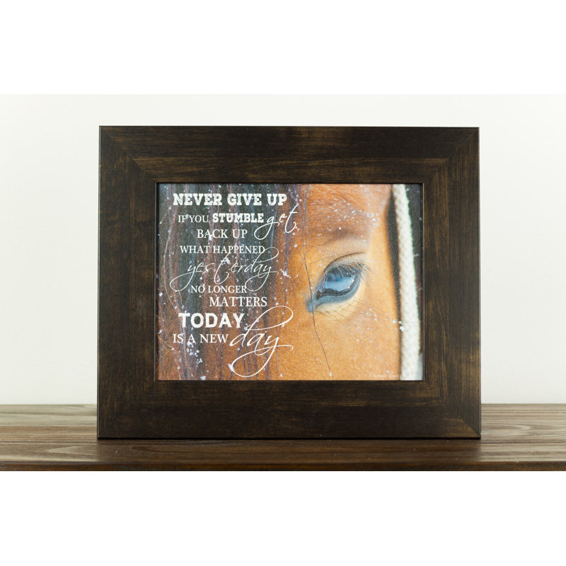 " Never Give Up Horse "