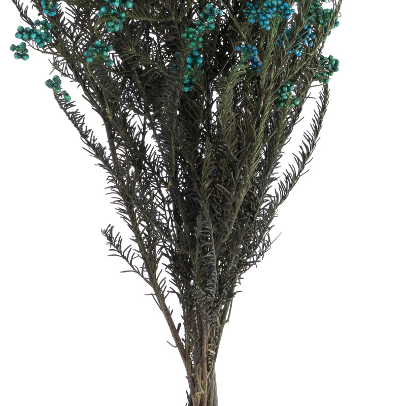 All Natural Rice Flower, Preserved 16" Rice Flower, 4.25oz Preserved, Blue