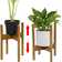 Horine Wood Plant Stand