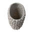 Vase décoratif en polyrésine et corail beige Cole-121496569
