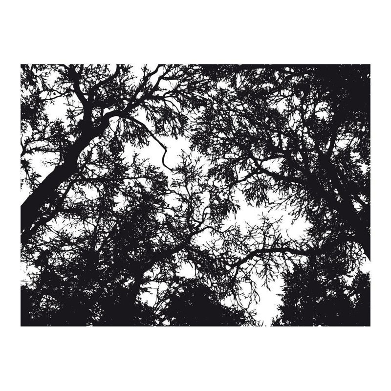 Daneesh Wall Mural, 121" L x 157" W