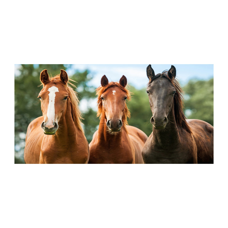 Three Horses - Print, Glass, 70cm H x 100cm W x 4cm D