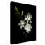 «Gardenia» par Dosta, impression sur toile tendue-29223808