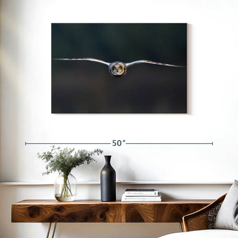 Owl Mid Air, 24" H x 36" W