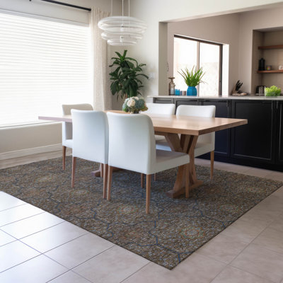 Machine Washable Indoor/Outdoor Erfried ACN2409 Global Rug