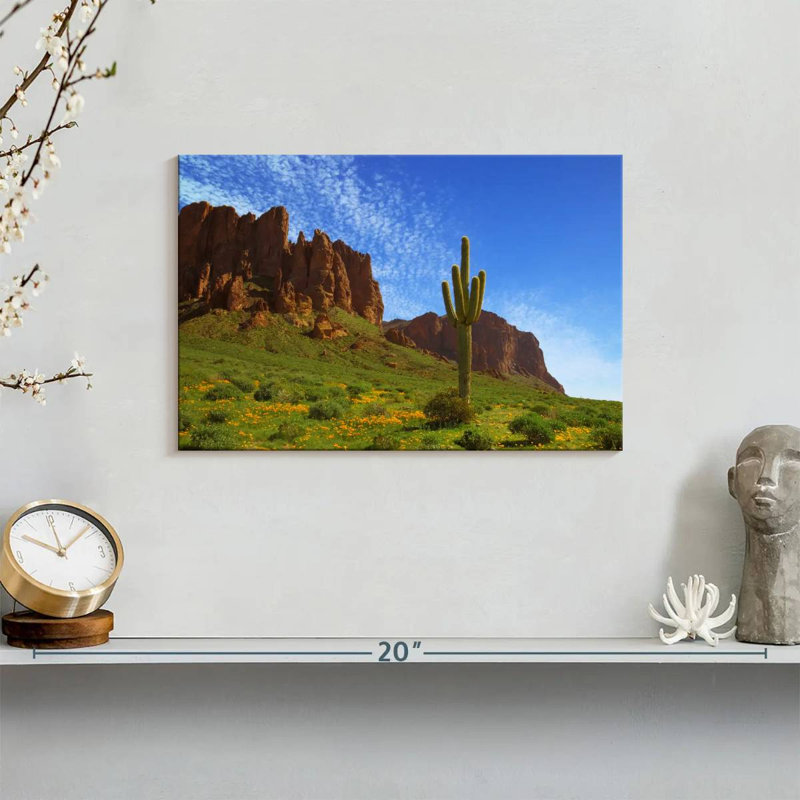 Alvord Cactus In Prospector's View, 8" H x 12" W