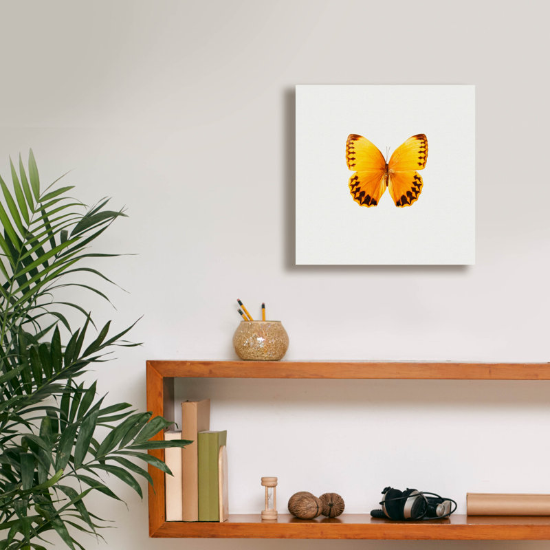 «Yellow Butterfly 2» par PhotoINC Studio, H 12 po x l 12 po x P 0,75 po