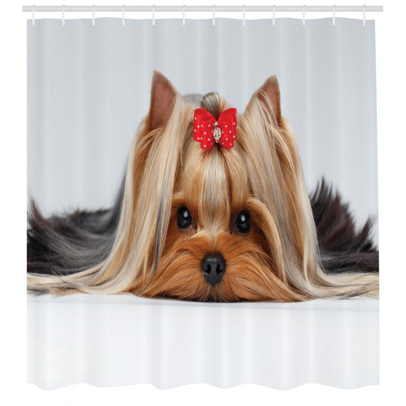 Ensemble de rideau de douche et crochets yorkie, H 70 po x l 69 po