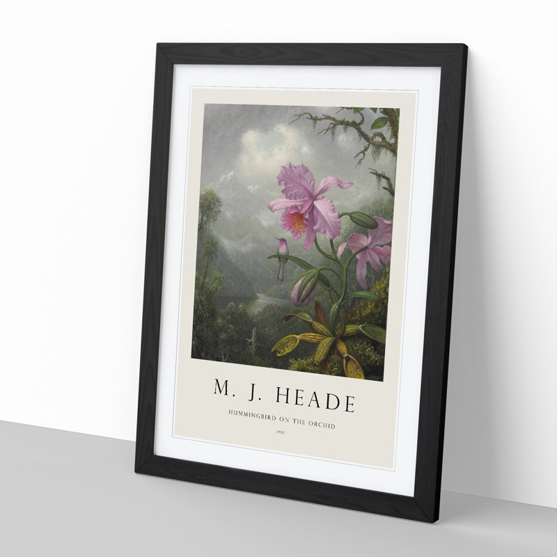 Hummingbird on the Orchid Plant by Martin Johnson Heade - Picture Frame Painting, Black Framed, 48cm H x 36cm W x 2cm D
