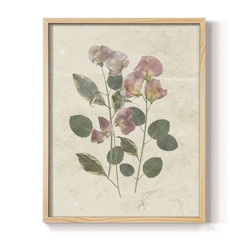 Pressed Arrangement II, reproduction encadrée - bois massif, Naturel, H 30 po x l 24 po