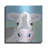 " Moo " by Roey Ebert