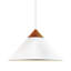 1 - Light Satin Pendant-1160858702
