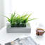 21.1cm Faux Plant