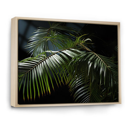 " Palm Trees Symphony I "