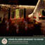 Guirlande lumineuse d'extérieur à DEL