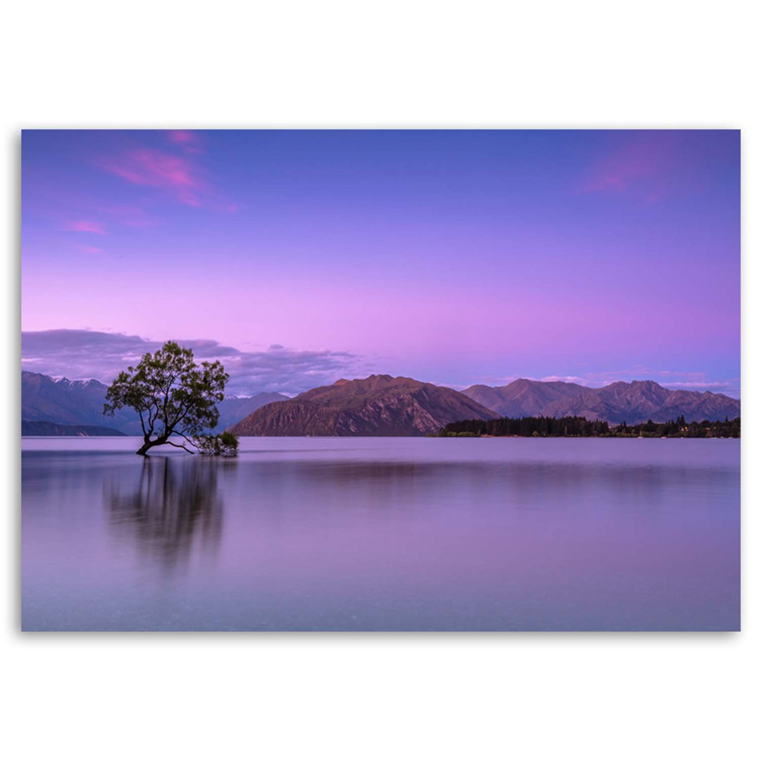 Leinwandbild Baum in der Mitte des Sees