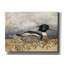 «August Breasted Merganser» par David Carter-2088103351