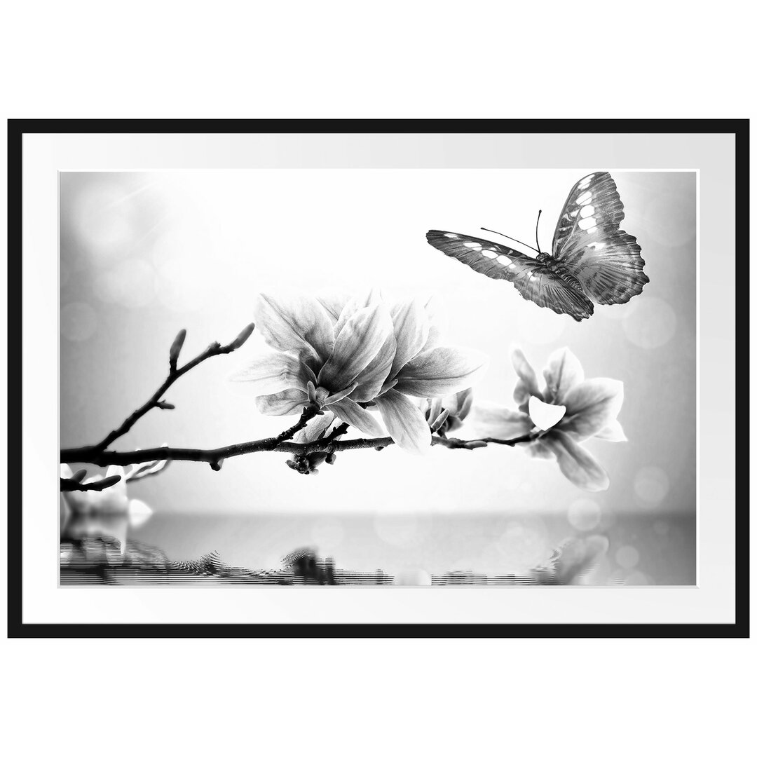 Gerahmtes Poster Schmetterling mit Magnolien-Blüte