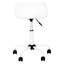 Ebern Designs Task Chair