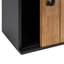 Armoire d'appoint 1 porte Eliza