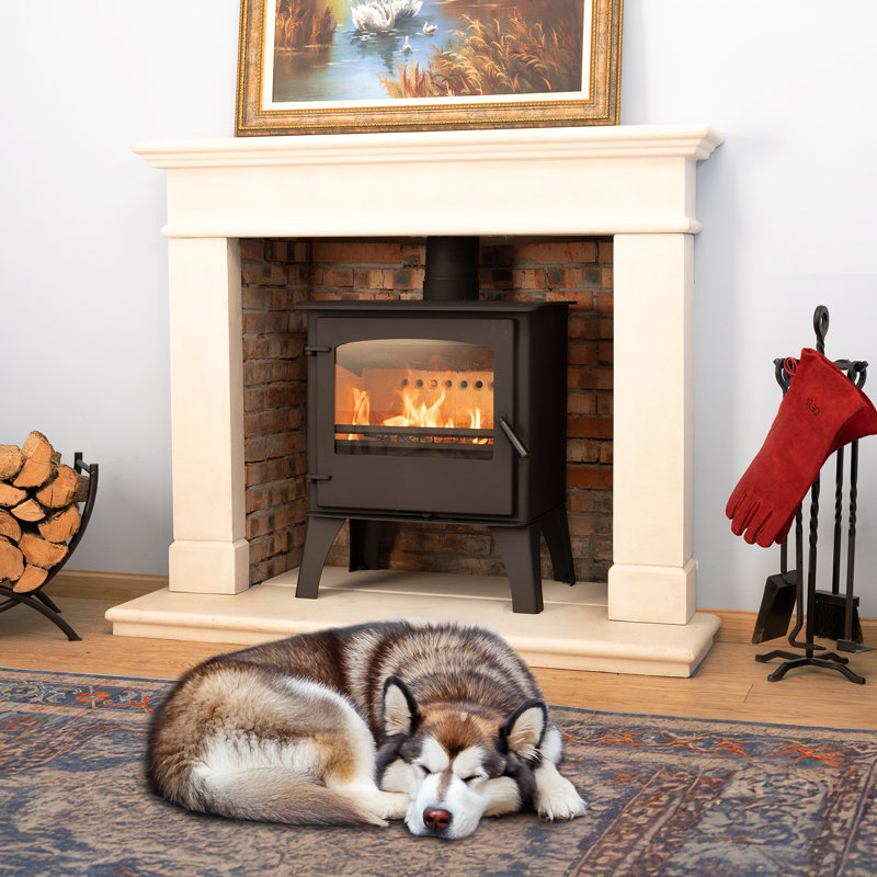 Aoodor Wood Burning Stove