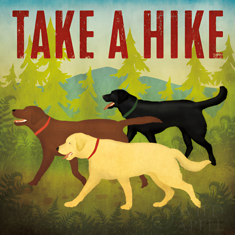 «Take a Hike Lab II» par Ryan Fowler, reproduction d'art sur toile tendue, H 12 po x l 12 po