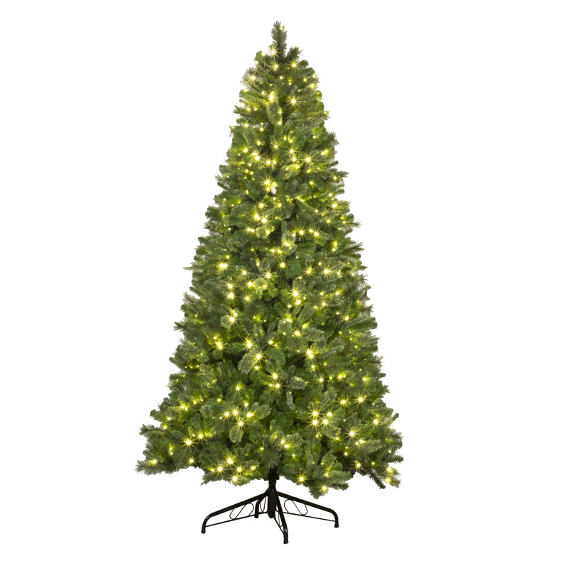Arbre de Noël 6 pi, H 6 pi
