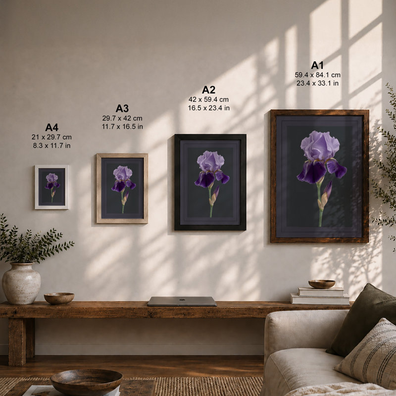 Iris in Lavender Botanical - Framed Print, A3 - 42.0 x 29.7 cm, Unframed