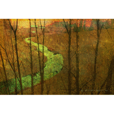 Woodblock Stream I - Wrapped Canvas Painting