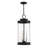 Adamaris 3 - Light Outdoor Hanging Lantern