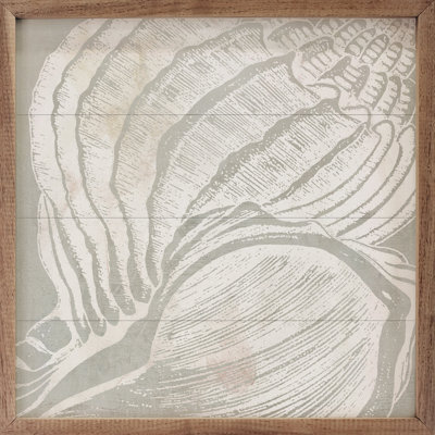 Seashell Close Up II By Carol Robinson