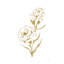 Gold Line Carnation III - impression sur toile tendue-1833490665-1842165365-1842165371