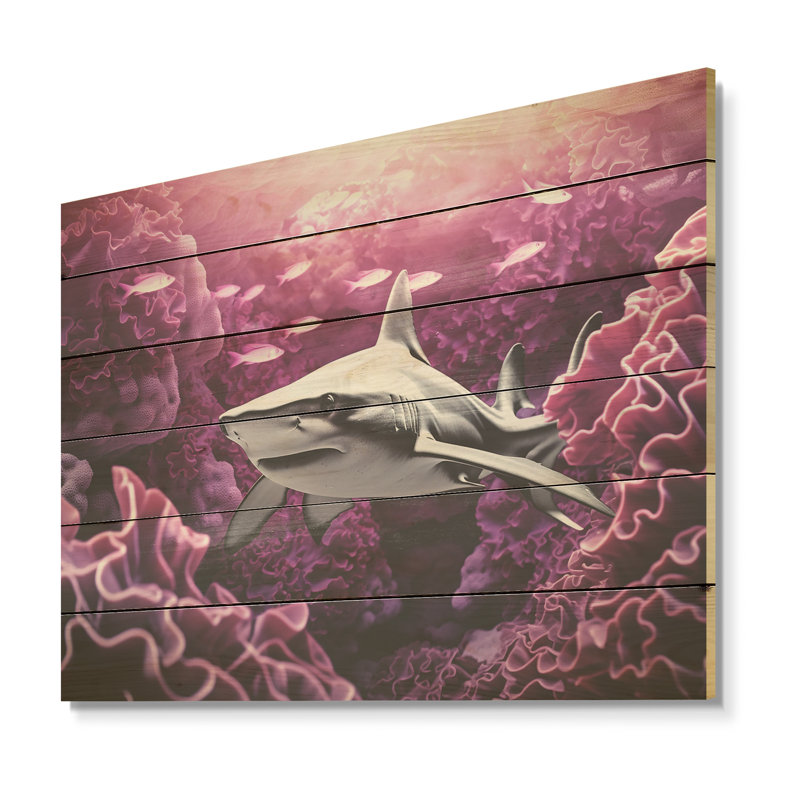 Requin mauve marteau I - corail sous l'eau sous l'eau, art mural sur bois de pin naturel, H 30 po x l 40 po