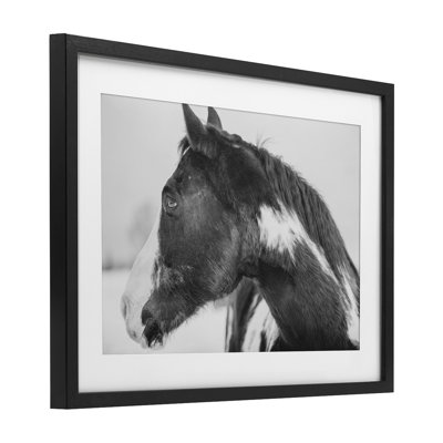 Draisma Horse Looking Left Framed Print Under Glass, design by Amy Carroll