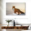 Renard majestueux Brampt-108817022