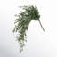 Quiller Draping Ruscus Stems
