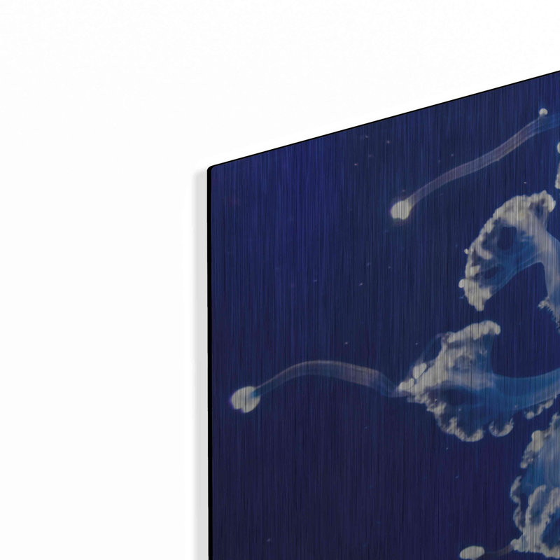 «Translucent Jellyfish» par Epic Portfolio, art mural en métal, 24 po x 16 po, H 16 po x l 24 po