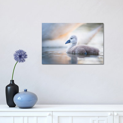 Cygnet II by Mateusz Piesiak - Wrapped Canvas Print