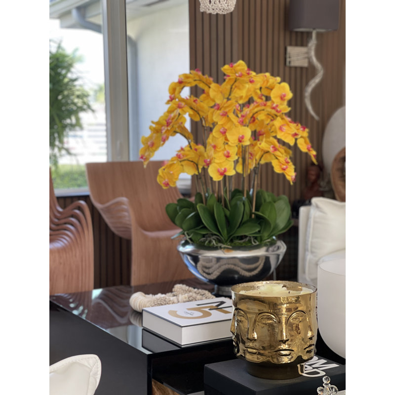 Orchid Arrangement in Planter, Orange