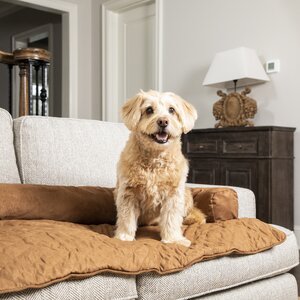 Dog Bed Covers & Accessories You'll Love | Wayfair