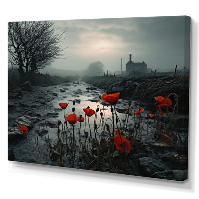 Ireland Irish Mist - Landscapes Canvas Prints