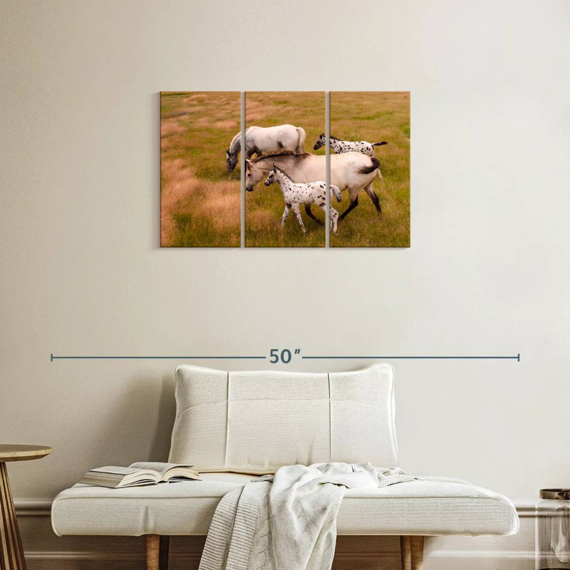 Famille Brampt Appaloosa, H 20 po x l 33 po
