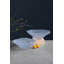 Glass Salad Bowl-1455340738