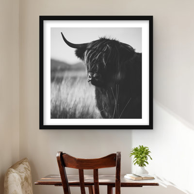 Beautiful monochrome highland cow | Framed matted print