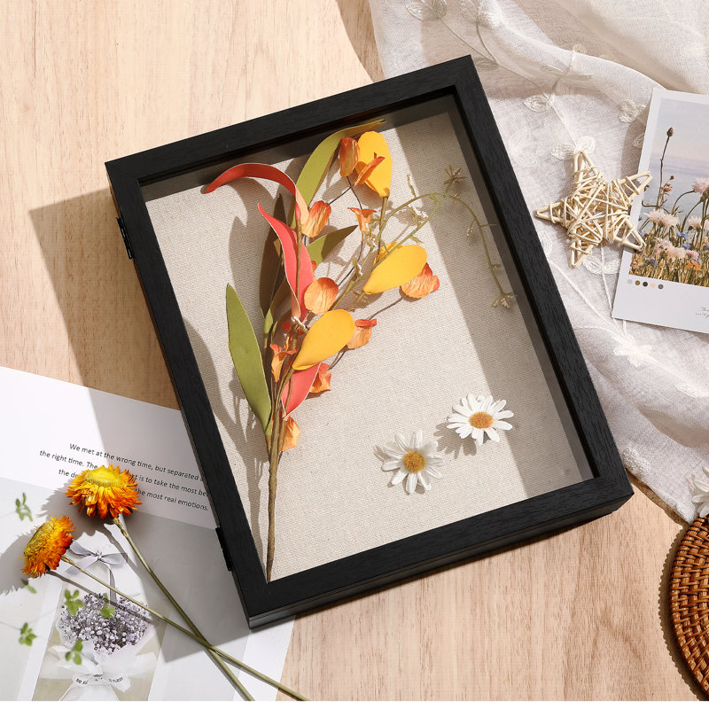 Rustic Shadow Box Picture Frame 8x10, Black