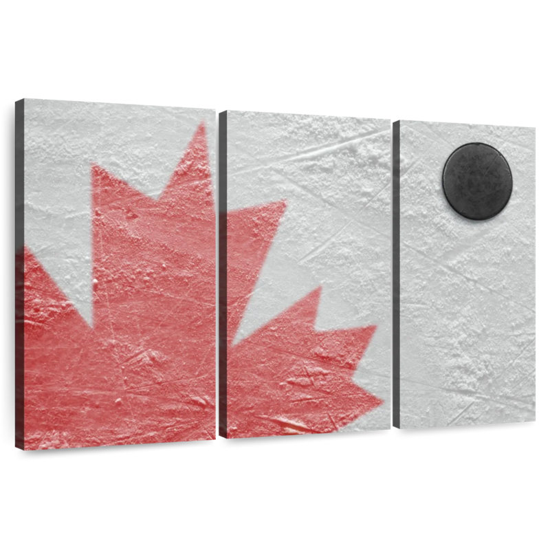 Hockey canadien Sireci, H 42 po x l 65 po